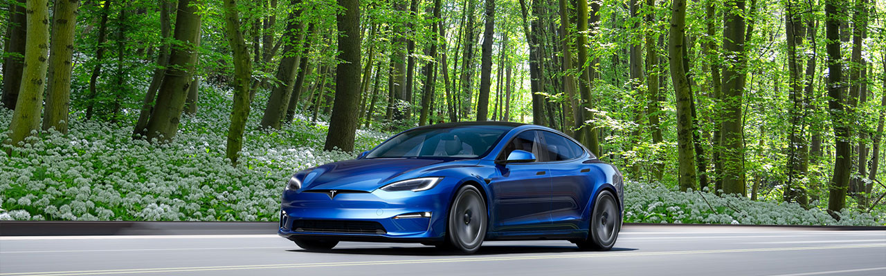 Blue Model S 2021 trimmed